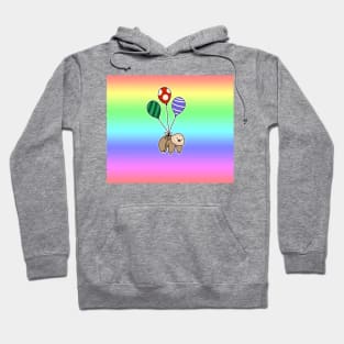 Balloon Two-Toed Sloth Rainbow Ombre Hoodie